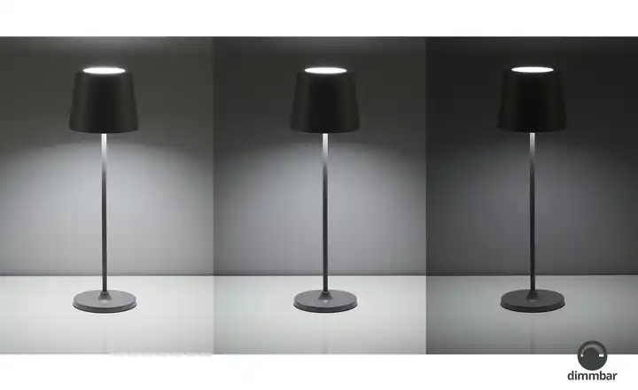 Akku-Tischleuchte, IP44 Begrenztes Angebot
