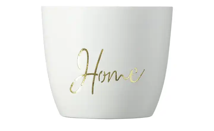 Windlicht Home Wochenangebot