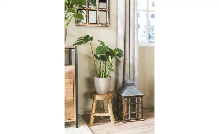 Holzlaterne Neueste Stile
