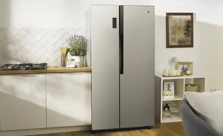 gorenjeSide by Side NRS918EMX Fabrikpreis
