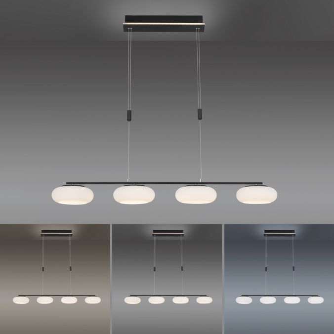 Paul Neuhaus Paul Neuhaus Q ETIENNE Pendelleuchte Smart Home schwarz länglich 4 flammig Zeitlich begrenztes Angebot