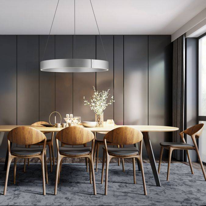 Paul Neuhaus Paul Neuhaus LED Pendelleuchte PURE-E-CLIPSE aluminium elektrisch Saisonale Angebote