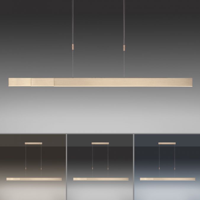 Paul Neuhaus Paul Neuhaus PURE MOTO e-SLIDE® messing elektrisch ausfahrbar Pendelleuchte Tägliche Deals