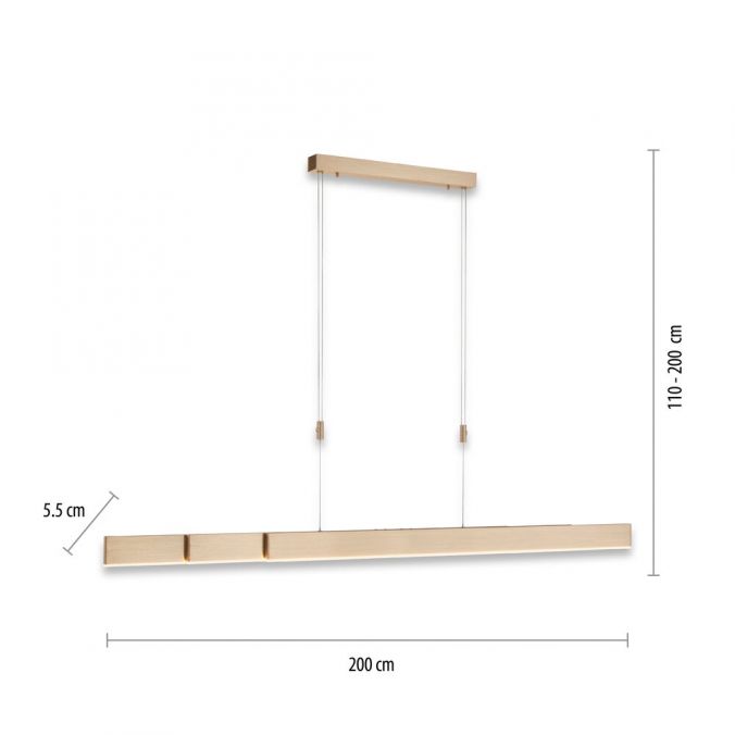 Paul Neuhaus Paul Neuhaus PURE MOTO e-SLIDE® messing elektrisch ausfahrbar Pendelleuchte Tägliche Deals