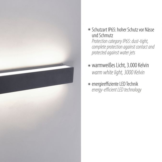 Paul Neuhaus LED Außenwandleuchte, anthrazitfarben, eckig, modernes Design, IP65 Bis zu 65% Rabatt