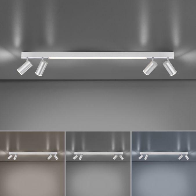 Paul Neuhaus Paul Neuhaus PURE LINES SPOT LED Strahler aluminium dimmbar drehbar CCT im Angebot