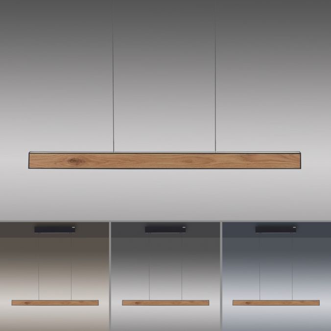 Paul Neuhaus Paul Neuhaus LED Pendelleuchte PURE-E-MOTION schwarz matt mit Holz Touch Schlussverkauf