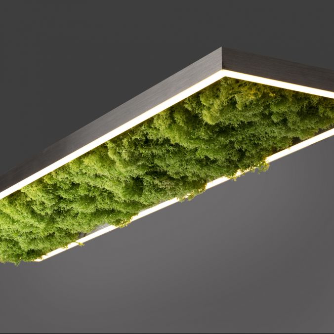 Paul Neuhaus LED Deckenleuchte rechteckig Islandmoos Simplydim Technik Wohnlampe Versandkostenfrei