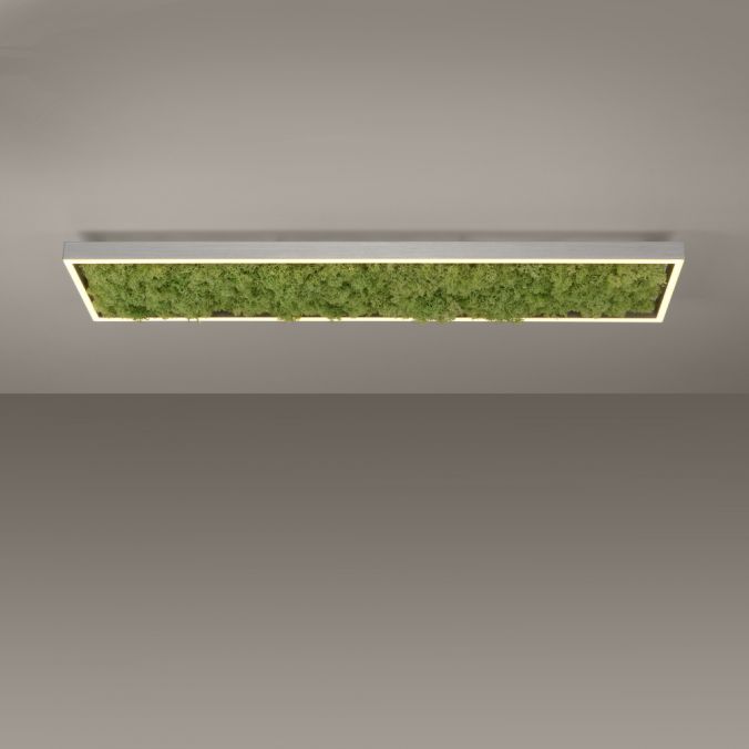 Paul Neuhaus LED Deckenleuchte rechteckig Islandmoos Simplydim Technik Wohnlampe Versandkostenfrei