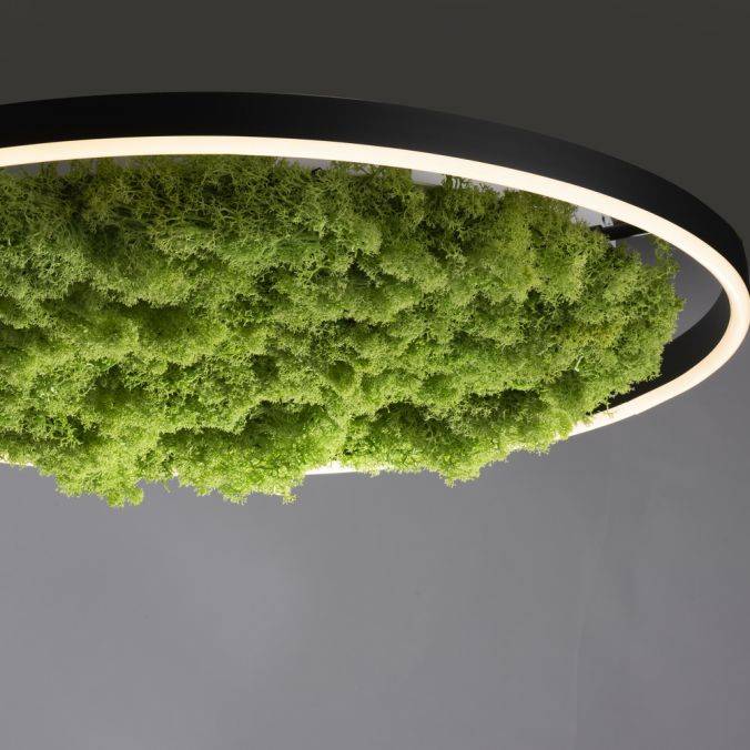 Paul Neuhaus LED Deckenleuchte 60x60 Island Moos Switchmo 3 Stufen Dimmung Vatertagsangebot