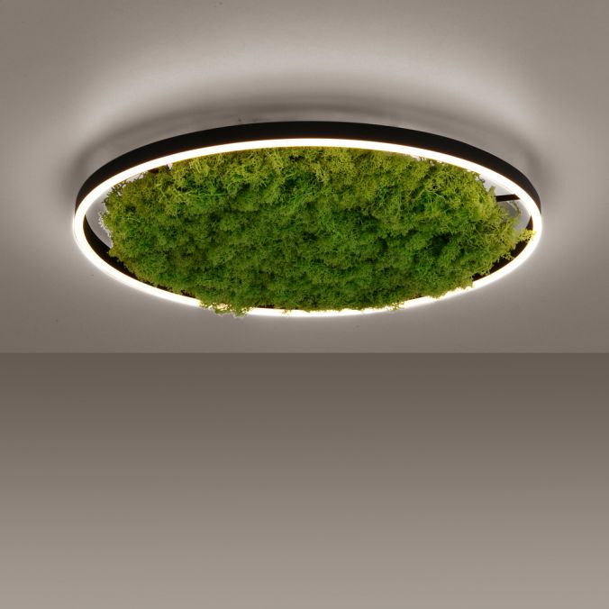 Paul Neuhaus LED Deckenleuchte 60x60 Island Moos Switchmo 3 Stufen Dimmung Vatertagsangebot