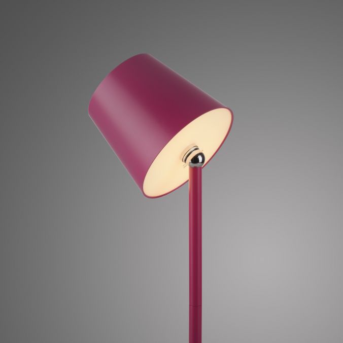 Paul Neuhaus LED Flaschenleuchte pink Akku Touchdimmer USB IP54 Tischleuchte Blitzangebot