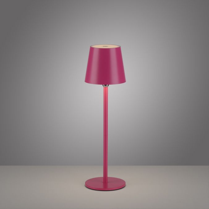 Paul Neuhaus LED Flaschenleuchte pink Akku Touchdimmer USB IP54 Tischleuchte Blitzangebot