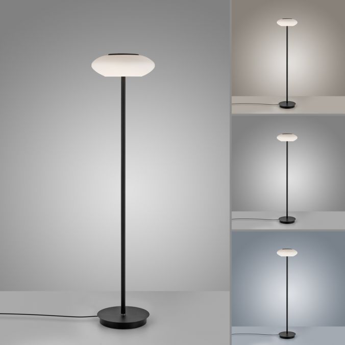 Paul Neuhaus Paul Neuhaus Q ETIENNE LED Stehleuchte Smart Home schwarz dimmbar CCT Weihnachtsangebot