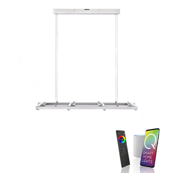 Paul Neuhaus Paul Neuhaus, Q-FISHEYE, LED-Pendelleuchte, silber, dimmbar, Smart Home