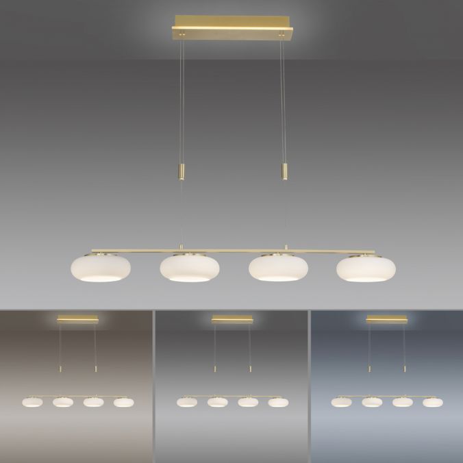 Paul Neuhaus Paul Neuhaus Q ETIENNE Pendelleuchte Smart Home messing länglich 4 flammig Heißer Verkauf