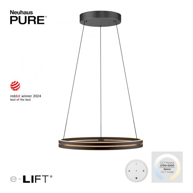 Paul Neuhaus Paul Neuhaus LED Pendelleuchte PURE E-Loop schwarz D=70cm e-LIFT