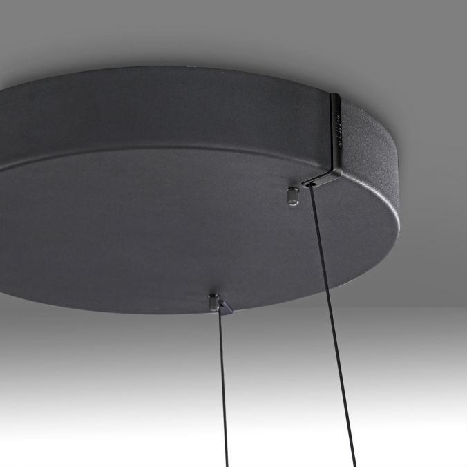 Paul Neuhaus Paul Neuhaus LED Pendelleuchte PURE E-Loop schwarz D=70cm e-LIFT Große Rabatte