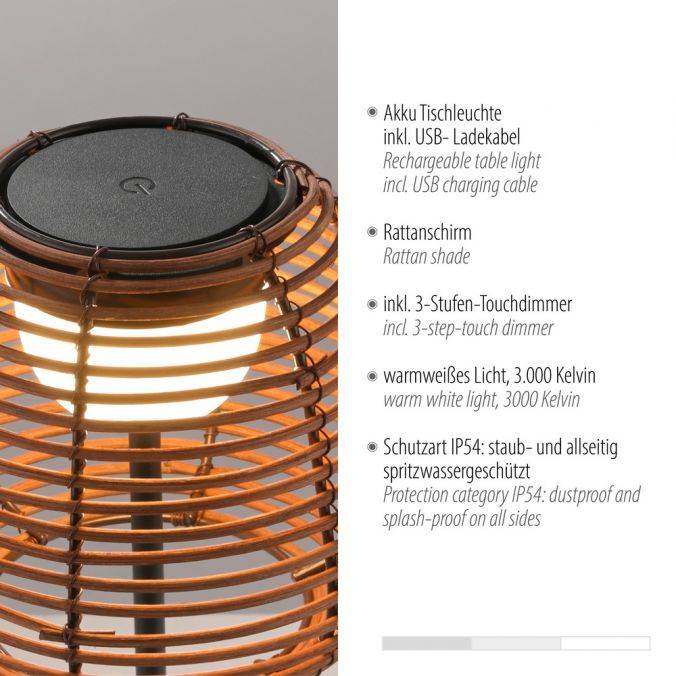 Paul Neuhaus LED Tischleuchte schwarz Rattan Schirm Akku IP54 USB Akku Tastdimmer Nur für heute