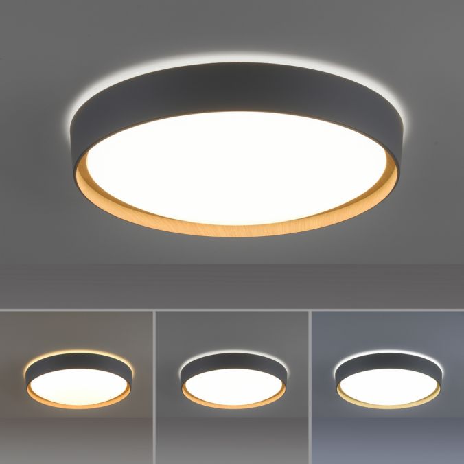 Paul Neuhaus Paul Neuhaus Q EMILIA Deckenleuchte Smart Home grau matt farbig Holzoptik dimmbar Exklusivangebot