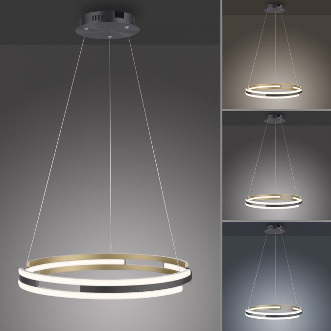 Paul Neuhaus Paul Neuhaus LED Pendelleuchte Q-BELUGA messing matt Smart Home dimmbar Räumungsverkauf