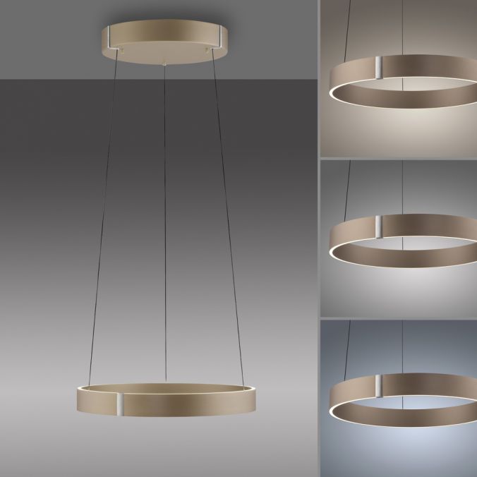 Paul Neuhaus Paul Neuhaus LED Pendelleuchte PURE E-Clipse bronce elektrisch e-LIFT Sonderangebot der Fabrik
