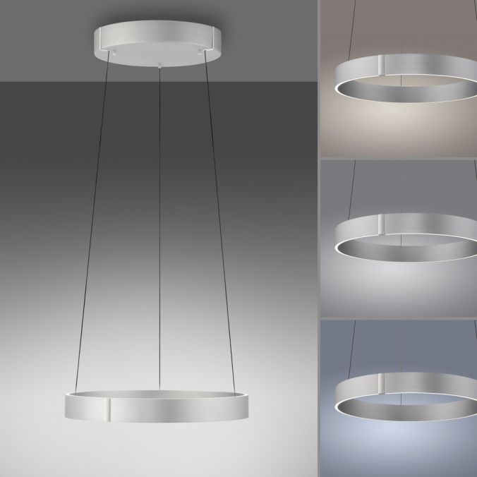 Paul Neuhaus Paul Neuhaus LED Pendelleuchte PURE E-Clipse aluminium elektrisch Vierteljährliche Förderung
