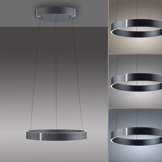 Paul Neuhaus Paul Neuhaus LED Pendelleuchte PURE E-Clipse grau elektrisch e-LIFT Bis zu 55% Rabatt