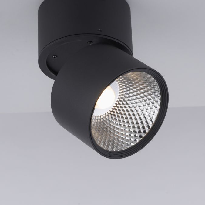 Paul Neuhaus Paul Neuhaus LED Deckenstrahler PURE-NOLA schwarz 1 flammig drehbar dimmbar 50% Rabatt mit kostenlosem Versand
