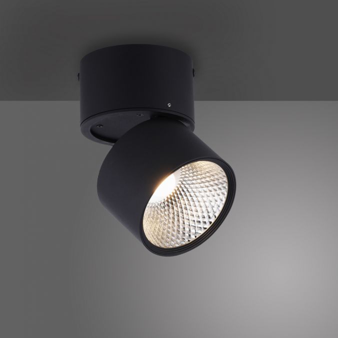 Paul Neuhaus Paul Neuhaus LED Deckenstrahler PURE-NOLA schwarz 1 flammig drehbar dimmbar 50% Rabatt mit kostenlosem Versand