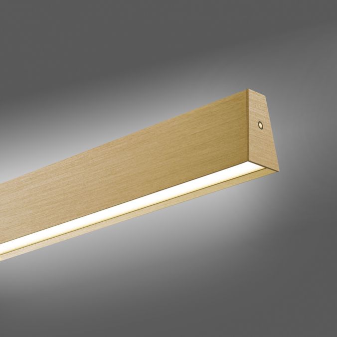 Paul Neuhaus Paul Neuhaus LED Pendelleuchte PURE-E-MOTION messing matt elektrisch Touch Kostenloser Versand international