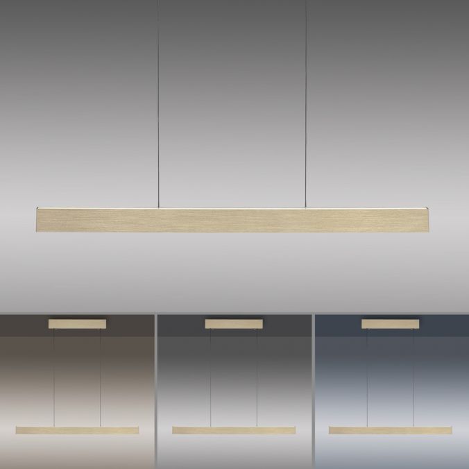 Paul Neuhaus Paul Neuhaus LED Pendelleuchte PURE-E-MOTION messing matt elektrisch Touch Kostenloser Versand international