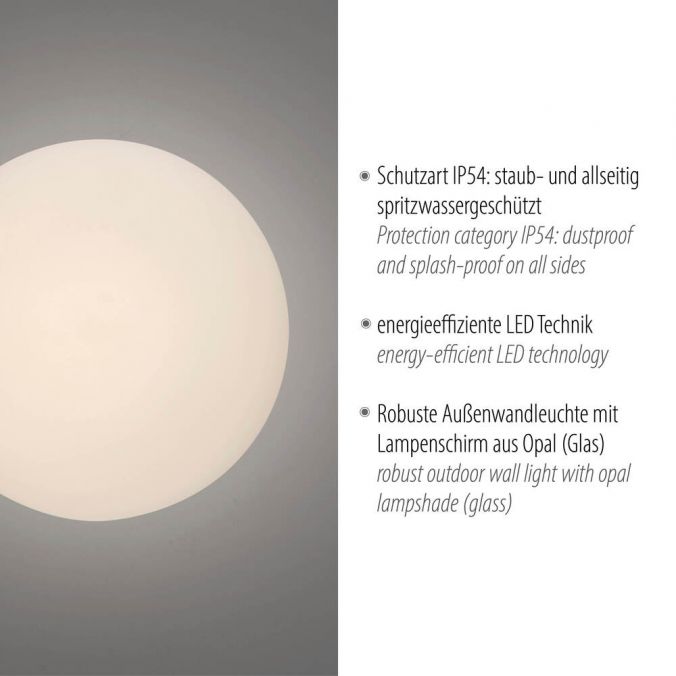 Paul Neuhaus LED Außenleuchte grau Wand- und Deckenleuchte spritzwasserschutz Angebote