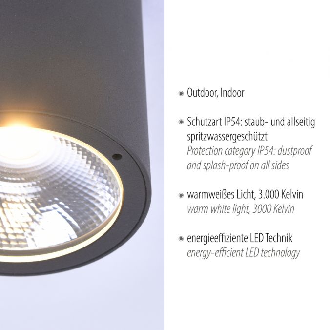 Paul Neuhaus LED-Außenaufbaustrahler, anthrazit, Zylinderform, warmweiße Lichtfarbe Versandkostenfrei