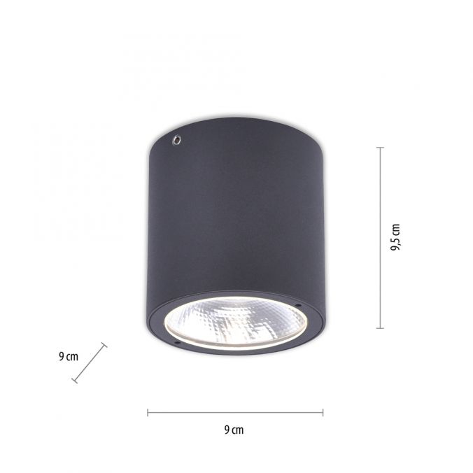Paul Neuhaus LED-Außenaufbaustrahler, anthrazit, Zylinderform, warmweiße Lichtfarbe Versandkostenfrei