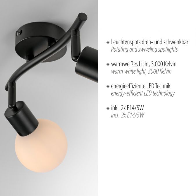 Paul Neuhaus LED Deckenleuchte 2 flammig schwarz Spot drehbar zeitloses Design Valentinstagsangebot