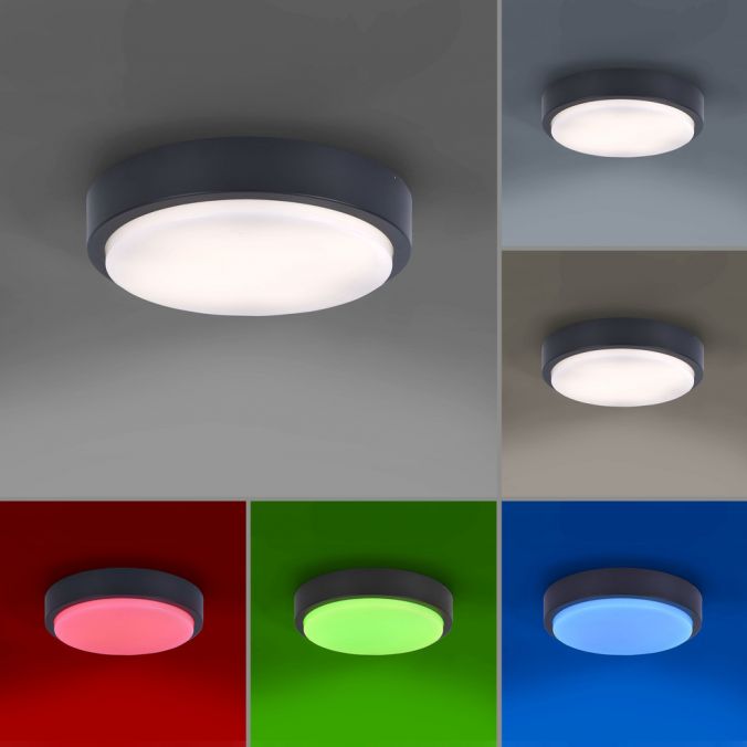 Paul Neuhaus Paul Neuhaus, Q-LENNY, Außenleuchte, Deckenleuchte, RGB, dimmbar, Smart Home Begrenzte Freigabe