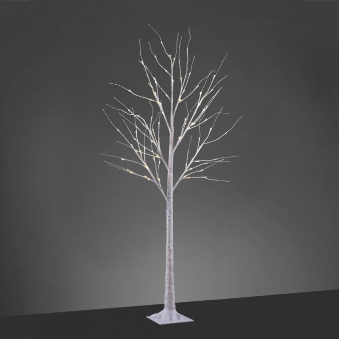 Paul Neuhaus LED Baum, weiß, Birkenoptik, spritzwassergeschützt, modern, warmweiß 2025