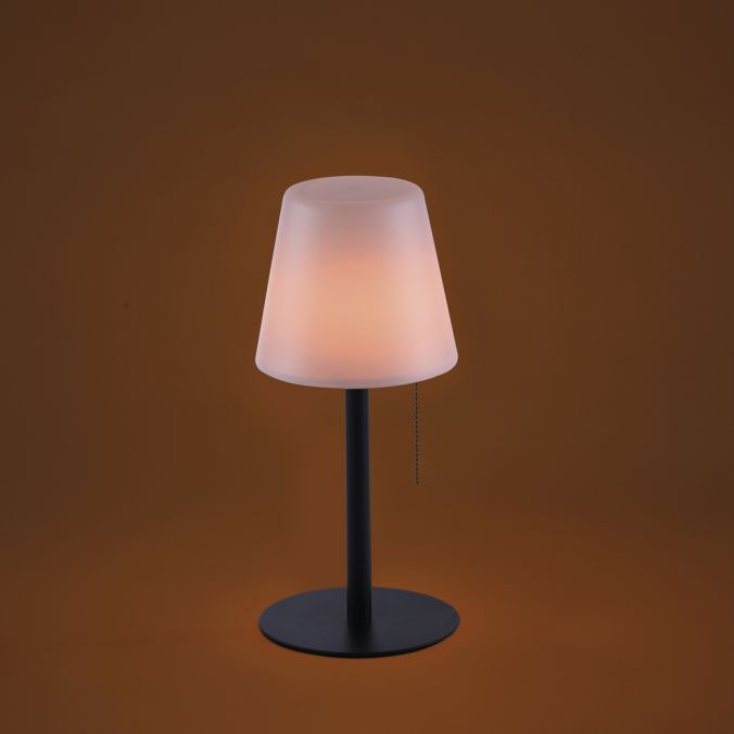 Paul Neuhaus LED Tischleuchte, schwarz, dimmbar, modern, inkl. Zugschalter, kabellos Online