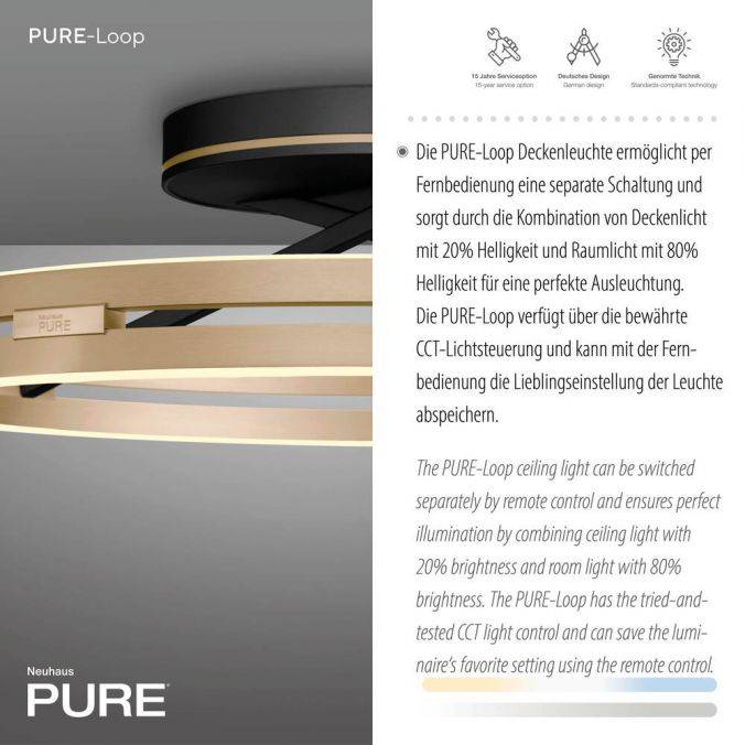 Paul Neuhaus Paul Neuhaus LED Deckenleuchte PURE Loop schwarz-messing Fernbedienung Verkauf