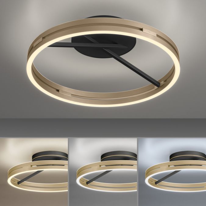 Paul Neuhaus Paul Neuhaus LED Deckenleuchte PURE Loop schwarz-messing Fernbedienung Verkauf