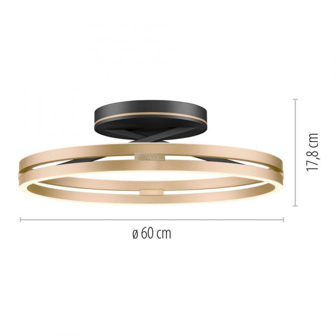 Paul Neuhaus Paul Neuhaus LED Deckenleuchte PURE Loop schwarz-messing Fernbedienung Verkauf