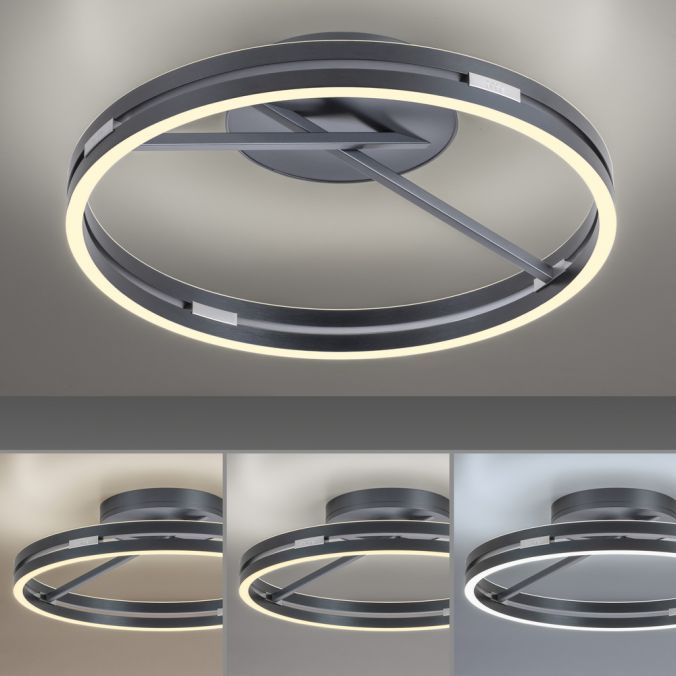 Paul Neuhaus Paul Neuhaus LED Deckenleuchte PURE Loop grau Fernbedienung Angebote