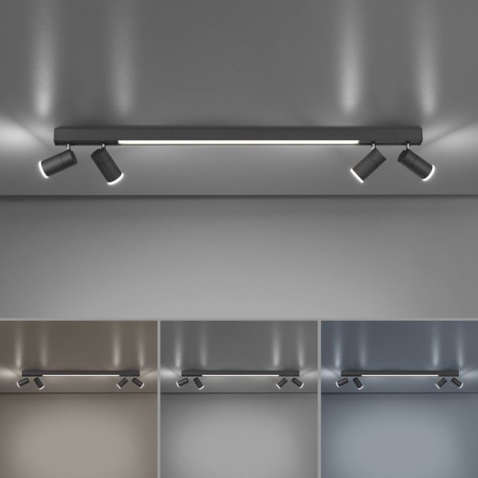 Paul Neuhaus Paul Neuhaus PURE LINES SPOT LED Strahler anthrazit dimmbar drehbar CCT Fabrikpreis