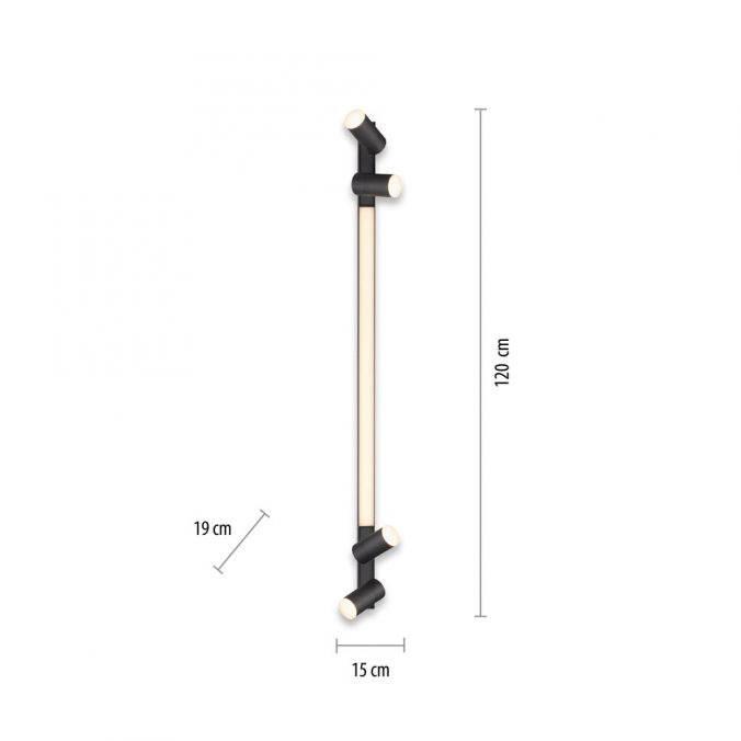 Paul Neuhaus Paul Neuhaus PURE LINES SPOT LED Strahler anthrazit dimmbar drehbar CCT Fabrikpreis
