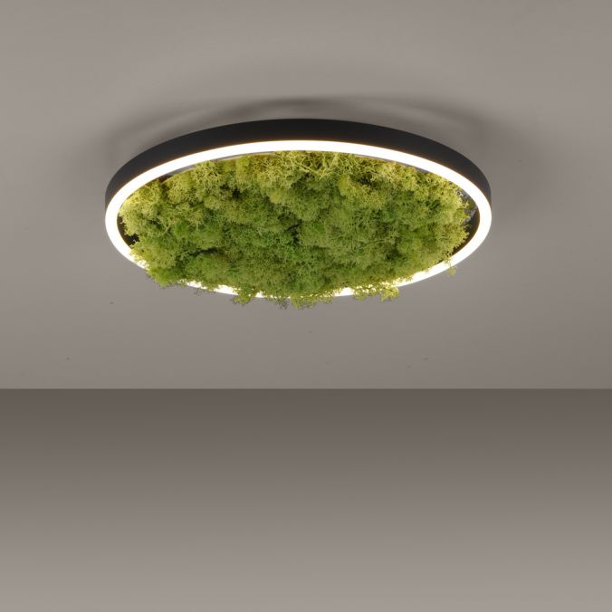 Paul Neuhaus LED Deckenleuchte 40x40 Island Moos Switchmo 3 Stufen Dimmung Rabatt