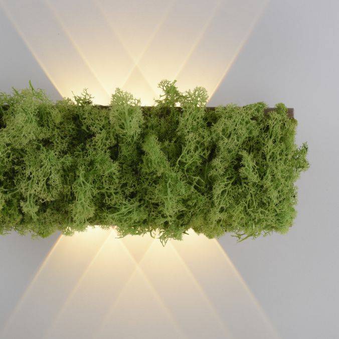 Paul Neuhaus LED Wandleuchte Islandmoos Lichtspiel warmweiß Licht Wohnraumlampe Versandkostenfrei
