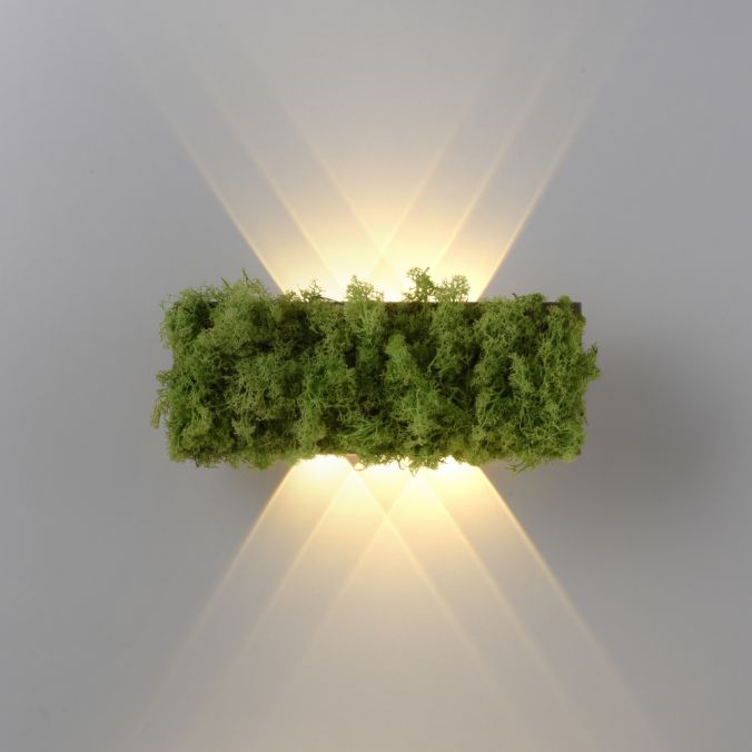 Paul Neuhaus LED Wandleuchte Islandmoos Lichtspiel warmweiß Licht Wohnraumlampe Versandkostenfrei
