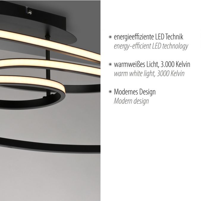 Paul Neuhaus LED Deckenleuchte schwarz Leuchtringe Esszimmer Wohnraumleuchte Online Outlet