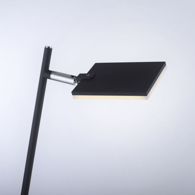 Paul Neuhaus Paul Neuhaus PURE MIRA LED Stehleuchte anthrazit dimmbar Fußbschalter Tägliche Deals